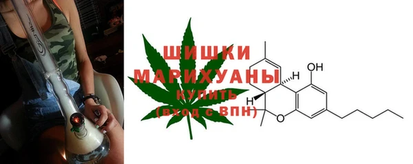 spice Аркадак
