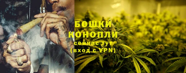 spice Аркадак