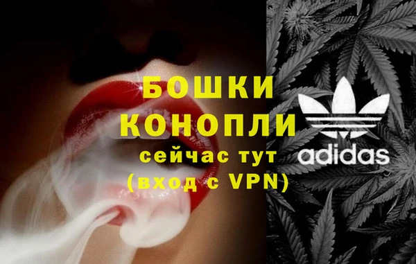 spice Аркадак
