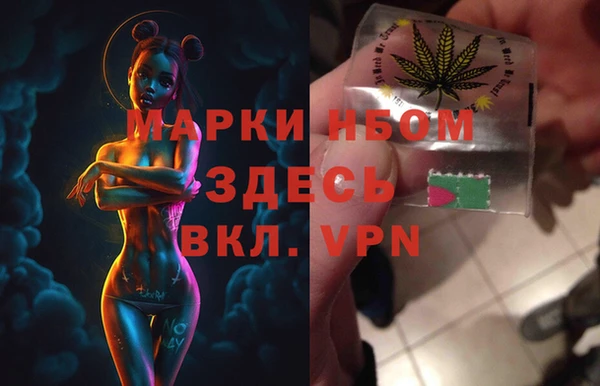 spice Аркадак