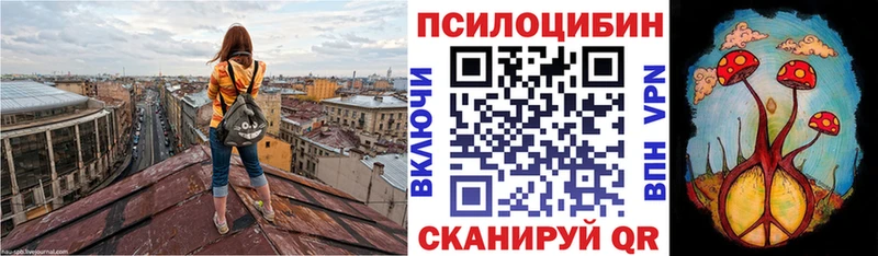 дарнет шоп  Учалы  Галлюциногенные грибы прущие грибы 